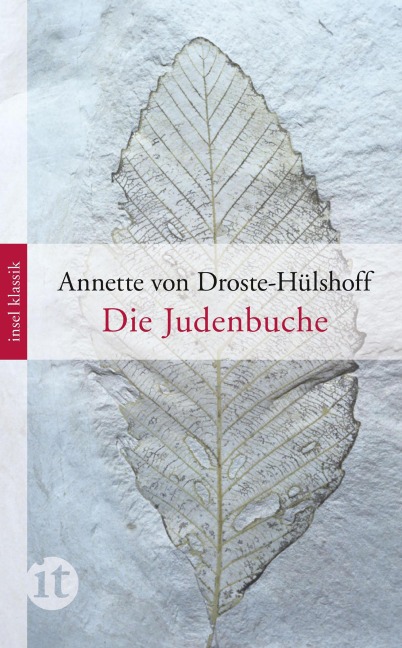 Die Judenbuche - Annette von Droste-Hülshoff