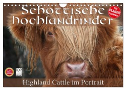 Cover-Bild zum Titel 'Schottische Hochlandrinder - Highland Cattle im Portrait (Wandkalender 2026 DIN A4 quer), CALVENDO Monatskalender' von 'Martina Cross'
