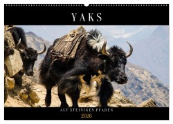 Yaks - auf steinigen Pfaden (Wandkalender 2026 DIN A2 quer), CALVENDO Monatskalender - Renate Utz