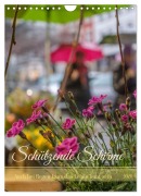Cover-Bild zum Titel 'Schützende Schirme - Auch bei Regen kann das Leben bunt sein (Wandkalender 2026 DIN A4 hoch), CALVENDO Monatskalender' von 'Klaus Fritsche'