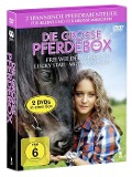 Cover-Bild zum Titel 'Die grosse Pferdebox' von 'Régis Anders, Jean Falculete, Anne Fassio, Michel Fessler, David Wilson'