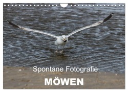 Cover-Bild zum Titel 'Spontane Fotografie - Möwen (Wandkalender 2026 DIN A4 quer), CALVENDO Monatskalender' von 'Melanie Mp'