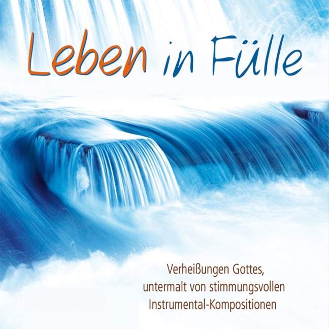 Leben in Fülle - Die Bibel, Toby Meyer
