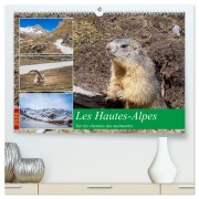 Cover-Bild zum Titel 'Les Hautes-Alpes sur les chemins des marmottes (Calendrier mural 2026 DIN A2 vertical) calendrier de bureau' von 'Alain Gaymard'