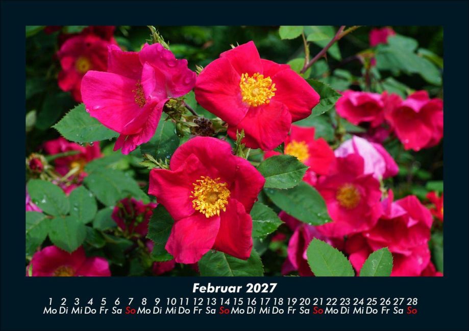 InsideView 6