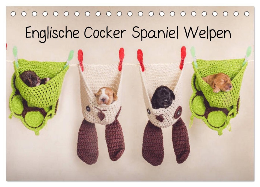 Englische Cocker Spaniel Welpen (Tischkalender 2026 DIN A5 quer), CALVENDO Monatskalender - Sabrina Wobith Photography - FotosVonMaja