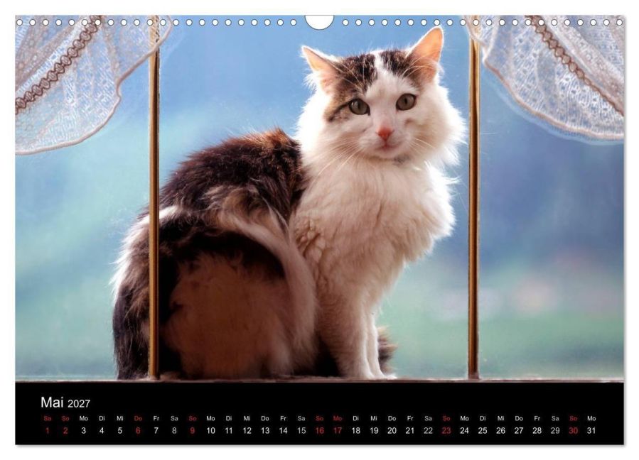 InsideView 10