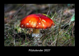 Cover-Bild zum Titel 'Pilzkalender 2027 Fotokalender DIN A3' von 'Tobias Becker'