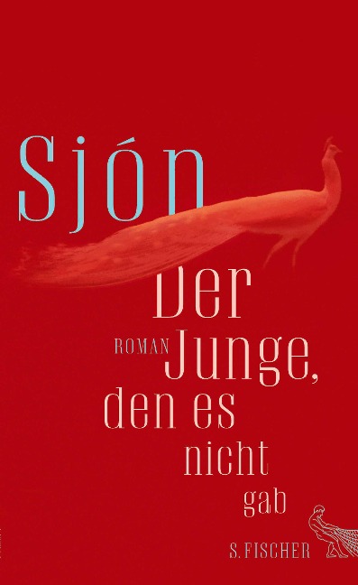 Der Junge, den es nicht gab - Sjón