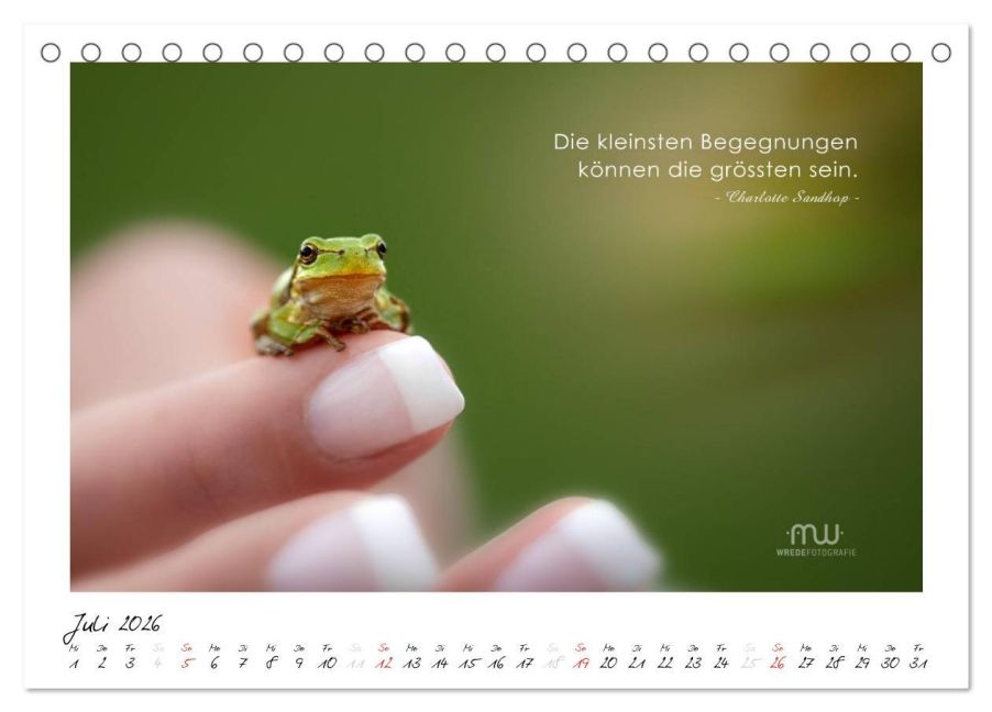 InsideView 12