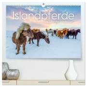 Cover-Bild zum Titel 'Islandpferde - Die süßen Pferde im Norden. (hochwertiger Premium Wandkalender 2026 DIN A2 quer), Kunstdruck in Hochglanz' von 'M. Scott'