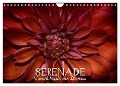 Serenade - Visuelle Musik der Blumen (Wandkalender 2024 DIN A4 quer), CALVENDO Monatskalender - Vronja Photon