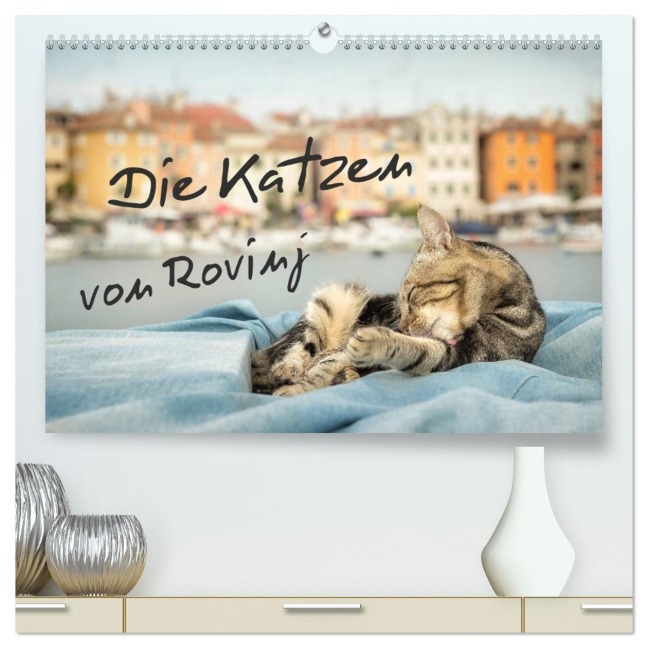 Die Katzen von Rovinj (hochwertiger Premium Wandkalender 2026 DIN A2 quer), Kunstdruck in Hochglanz - Viktor Gross