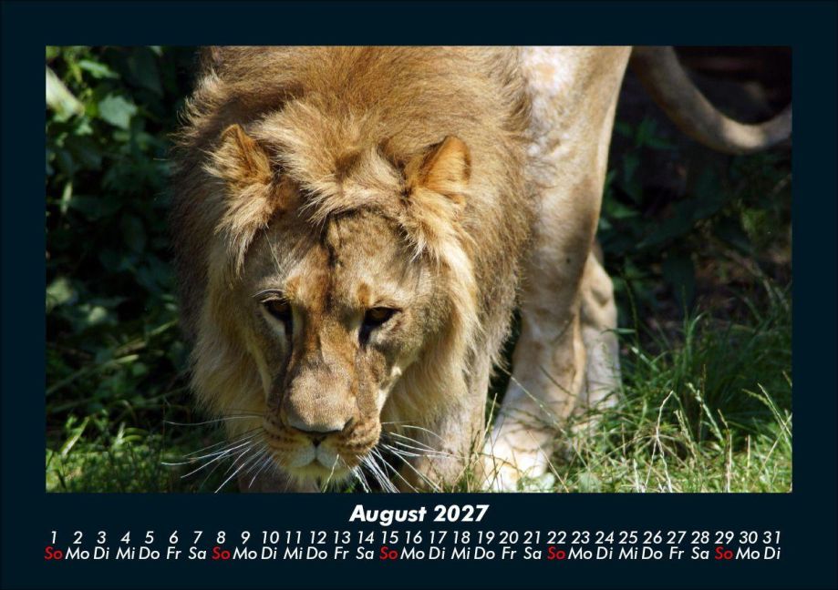 InsideView 12
