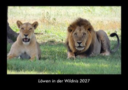 Cover-Bild zum Titel 'Löwen in der Wildnis 2027 Fotokalender DIN A3' von 'Tobias Becker'