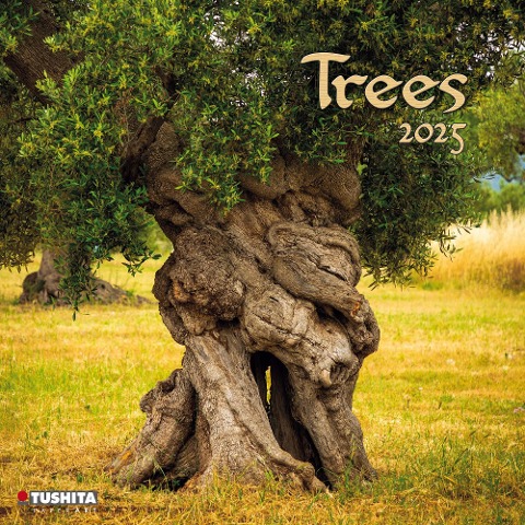 Trees 2025 - 