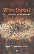 Why Irish?: Irish Language and Literature in Academia - 