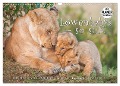 Emotionale Momente: Löwenbabys - so süß. (Wandkalender 2025 DIN A3 quer), CALVENDO Monatskalender - Ingo Gerlach
