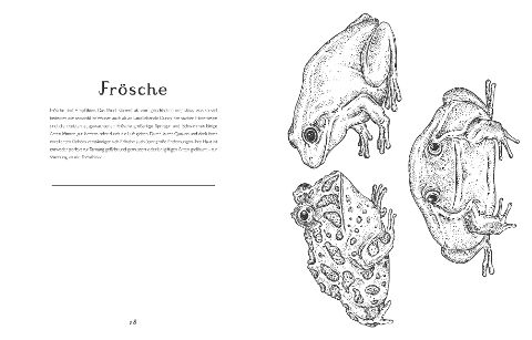 InsideView 3