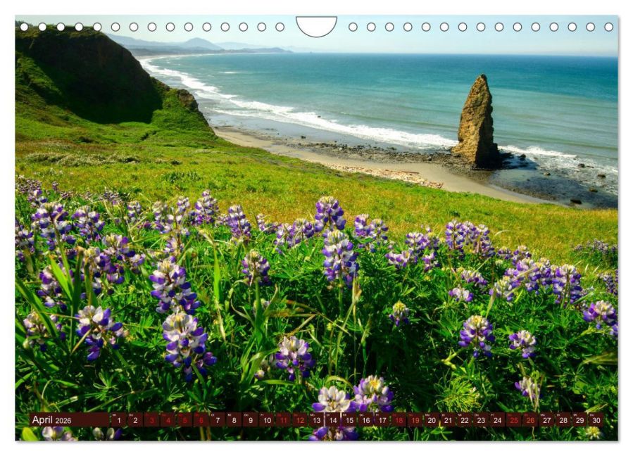 InsideView 9