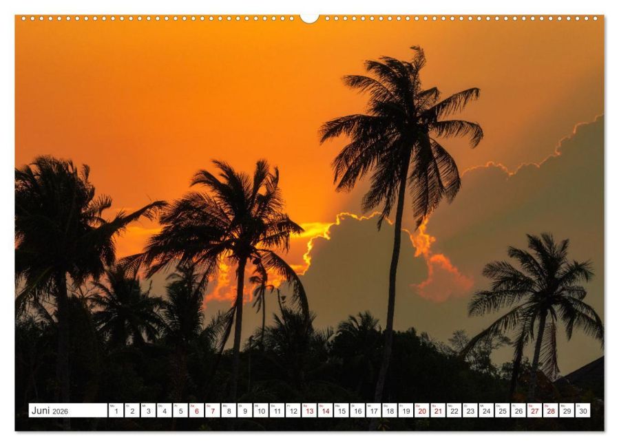 InsideView 11