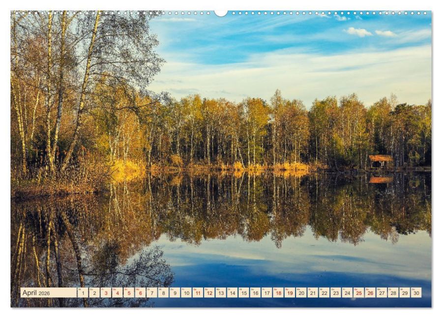InsideView 8