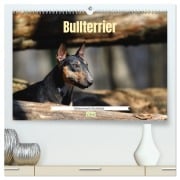 Bullterrier, liebenswerte Sturköpfe (hochwertiger Premium Wandkalender 2025 DIN A2 quer), Kunstdruck in Hochglanz - Yvonne Janetzek