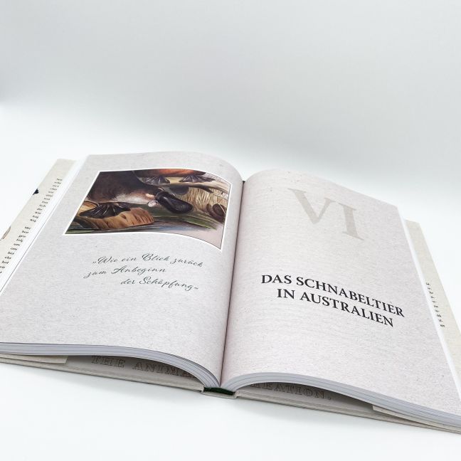 InsideView 4