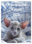 Cover-Bild zum Titel 'Orientalische Katzen 2026 (Wandkalender 2026 DIN A4 hoch), CALVENDO Monatskalender' von 'Heidi Bollich'