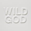 Wild God - Nick/Bad Seeds Cave