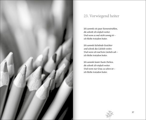 InsideView 11