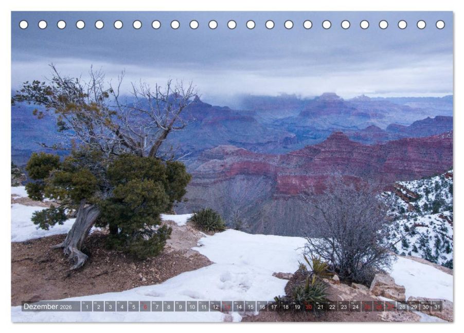 InsideView 4