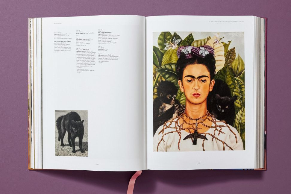 InsideView 14