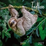 Cover-Bild zum Titel 'Faultier 2027' von ''