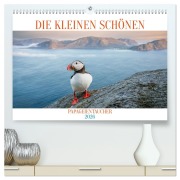 Cover-Bild zum Titel 'Die kleinen schönen (hochwertiger Premium Wandkalender 2026 DIN A2 quer), Kunstdruck in Hochglanz' von 'Dieter Gödecke'