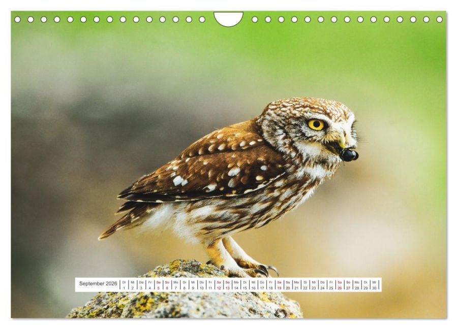 InsideView 14