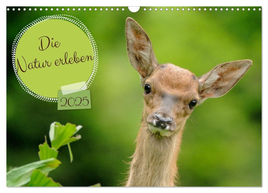 Die Natur erleben (Wandkalender 2025 DIN A3 quer), CALVENDO Monatskalender - Jürg Plattner