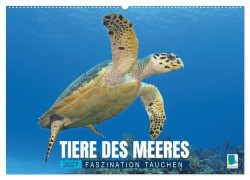 Cover-Bild zum Titel 'Tiere des Meeres: Faszination Tauchen (Wandkalender 2027 DIN A2 quer), CALVENDO Monatskalender' von 'Calvendo'