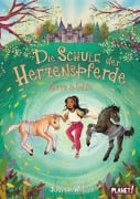 Cover-Bild zum Titel 'Die Schule der Herzenspferde 3: Zorro & Elin' von 'Judith Weber'