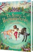 Cover-Bild zum Titel 'Die Schule der Herzenspferde 3: Zorro & Elin' von 'Judith Weber'