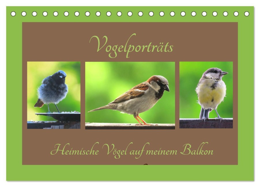 Vogelporträts - Heimische Vögel auf meinem Balkon (Tischkalender 2026 DIN A5 quer), CALVENDO Monatskalender - Claudia Schimmack