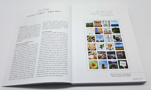 InsideView 2