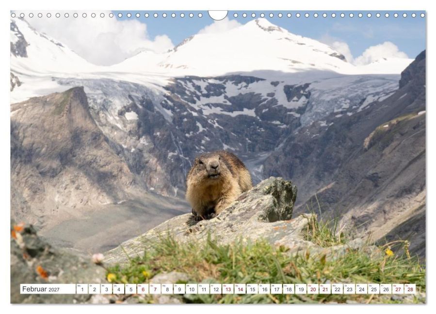 InsideView 7
