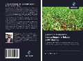 Cover-Bild zum Titel 'Gedecentraliseerde investeringen in lokale ontwikkeling' von 'Victor Henrique'