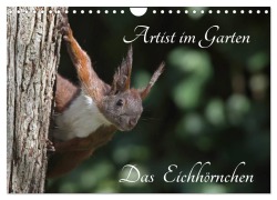 Cover-Bild zum Titel 'Artist im Garten. Das Eichhörnchen (Wandkalender 2026 DIN A4 quer), CALVENDO Monatskalender' von 'Klaus Konieczka'