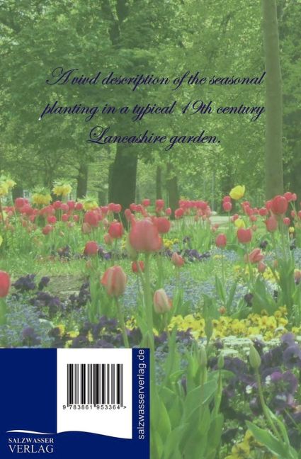InsideView 1