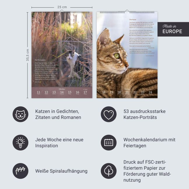 InsideView 13