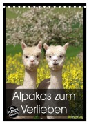 Cover-Bild zum Titel 'Alpakas zum Verlieben (Tischkalender 2026 DIN A5 hoch), CALVENDO Monatskalender' von 'Heidi Rentschler'