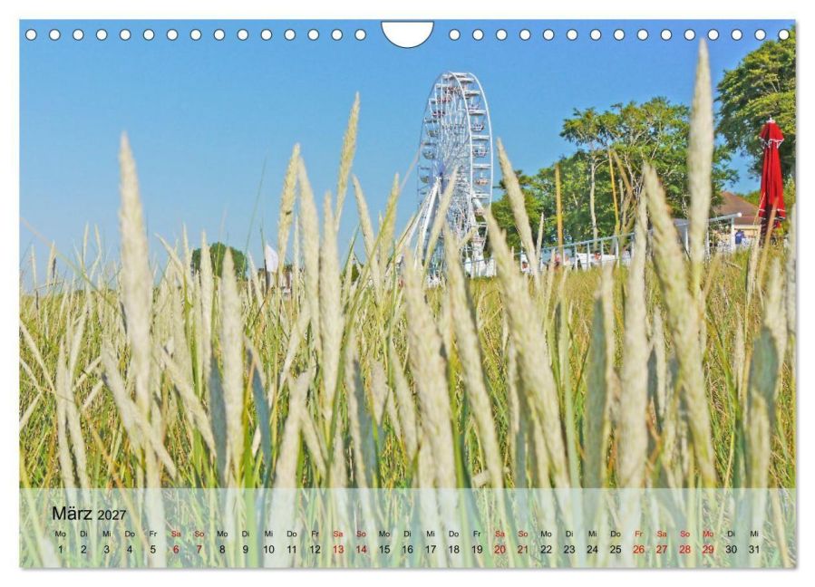 InsideView 8