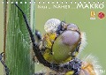 Cover-Bild zum Titel 'Nah ... Näher ... MAKRO (Tischkalender immerwährend DIN A5 quer)' von 'Sandra Malz'